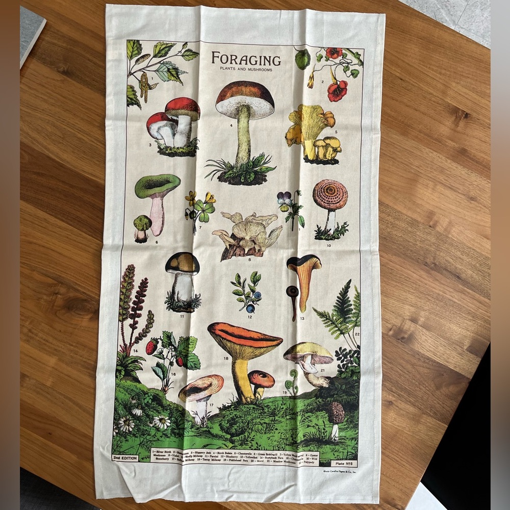 🎈2/$30 - NWOT “FORAGING Plants and Mushrooms” 100% Cotton Tea Towel